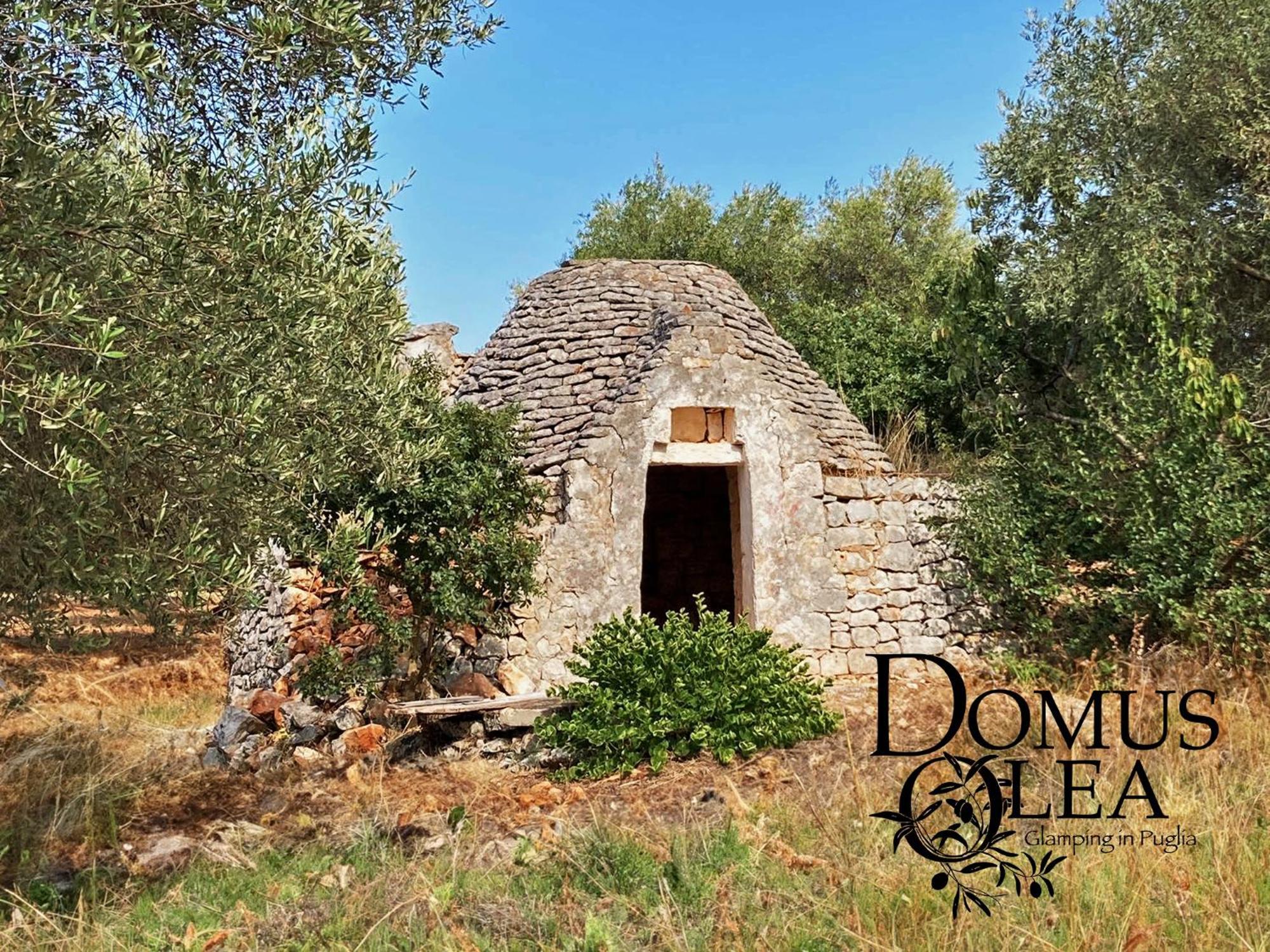Domus Olea Glamping Hotell Ceglie Messapica Exteriör bild